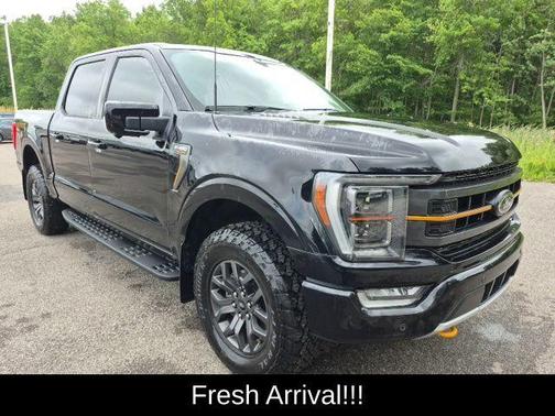 Agate Black Metallic 2023 Ford F-150 Tremor