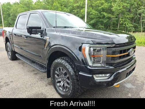 Agate Black Metallic 2023 Ford F-150 Tremor