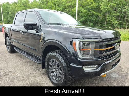 Agate Black Metallic 2023 Ford F-150 Tremor