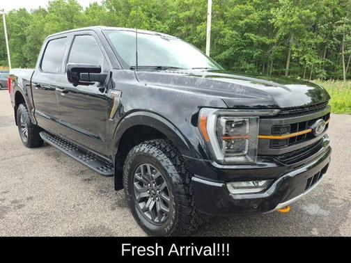 Agate Black Metallic 2023 Ford F-150 Tremor