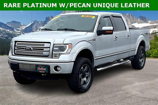 2013 Ford F-150 Platinum