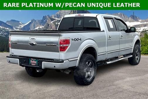 2013 Ford F-150 Platinum