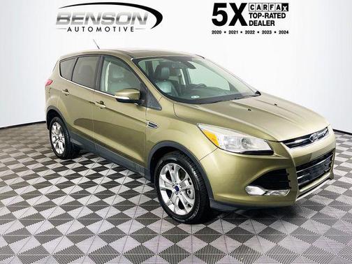 Ginger Ale Metallic 2013 Ford Escape SEL