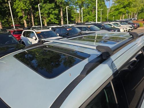 Ivory Silver 2025 Kia Carnival SX Prestige