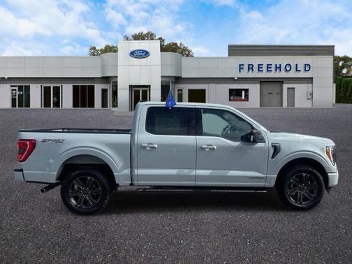 AVALANCHE 2023 Ford F-150 XLT