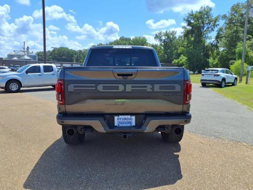 2019 Ford F-150 Raptor
