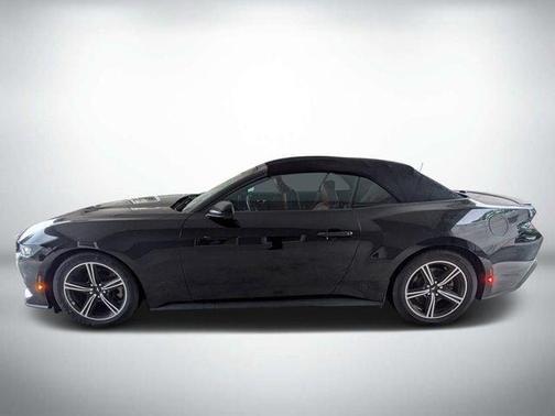 Shadow Black 2024 Ford Mustang EcoBoost Premium
