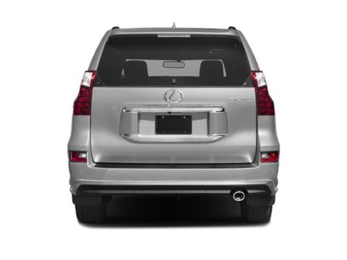 Nebula Gray Pearl 2019 Lexus GX 460 Luxury