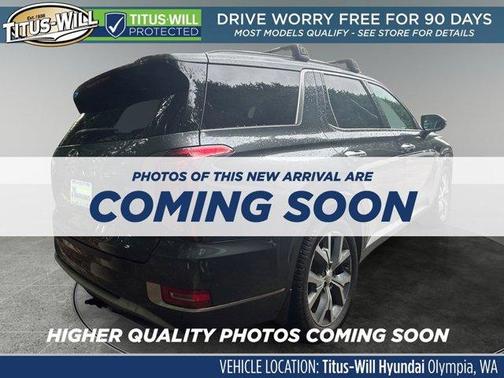 Rainforest 2021 Hyundai PALISADE Limited