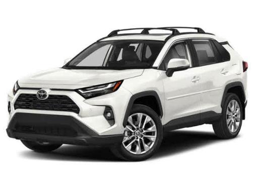 Ice Cap 2025 Toyota RAV4 XLE