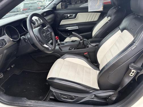 2015 Ford Mustang GT 50 Years Limited Edition