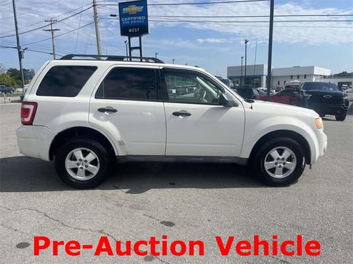2010 Ford Escape XLT