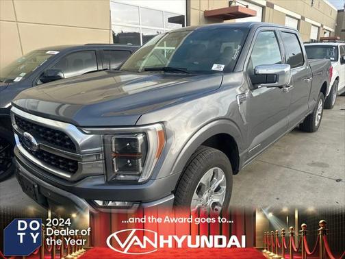 2021 Ford F-150 Platinum