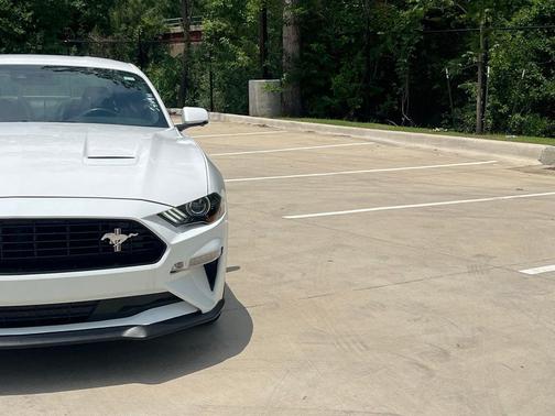 Oxford White 2019 Ford Mustang GT Premium