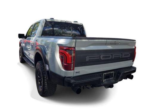 Avalanche 2024 Ford F-150 Raptor