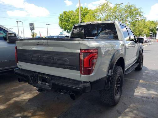 Avalanche 2024 Ford F-150 Raptor