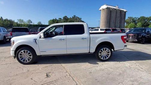 2023 Ford F-150 Limited