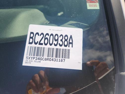 Glacial White Pearl 2024 Kia Telluride EX