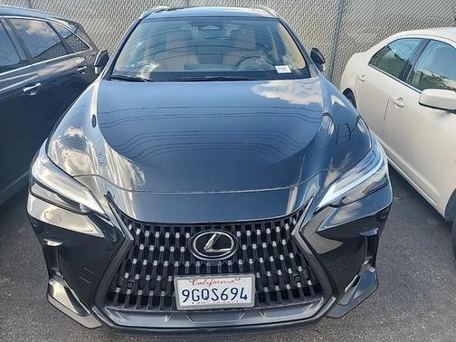 2024 Lexus NX 450h+ Luxury