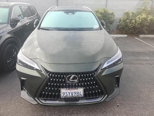 2025 Lexus NX 350h Premium