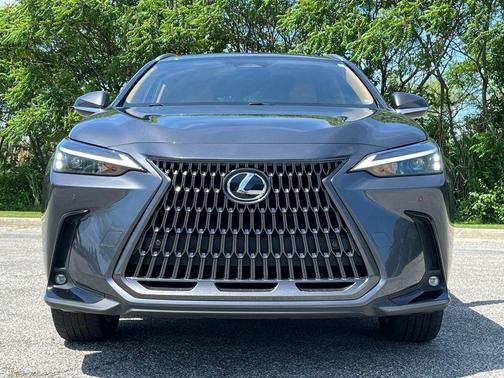 Cloudburst Gray 2022 Lexus NX 350 Premium