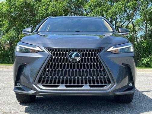 Cloudburst Gray 2022 Lexus NX 350 Premium