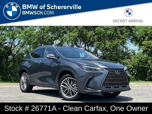 Cloudburst Gray 2022 Lexus NX 350 Premium