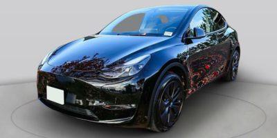 2025 Tesla Model Y Performance Dual Motor All-Wheel Drive