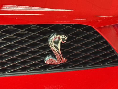 2007 Ford Shelby GT500 Base