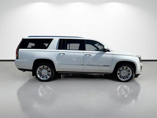 2020 Cadillac Escalade ESV Platinum