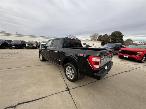 2022 Ford F-150 Platinum