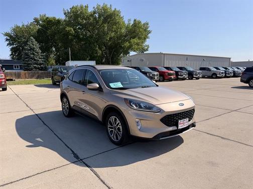 Desert Gold Metallic 2020 Ford Escape SEL