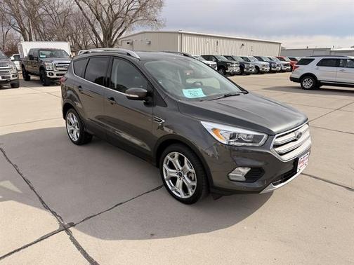 Magnetic 2019 Ford Escape Titanium