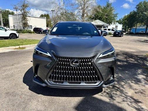 2024 Lexus NX 350 Base