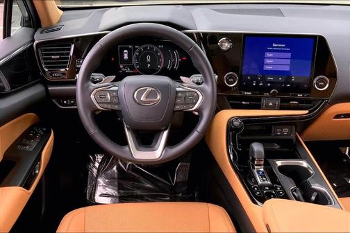2025 Lexus NX 350 NX 350