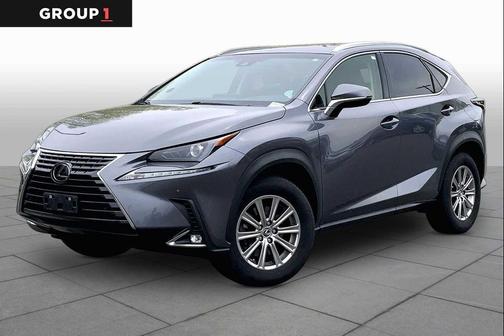 Nebula Gray Pearl 2019 Lexus NX 300 F Sport
