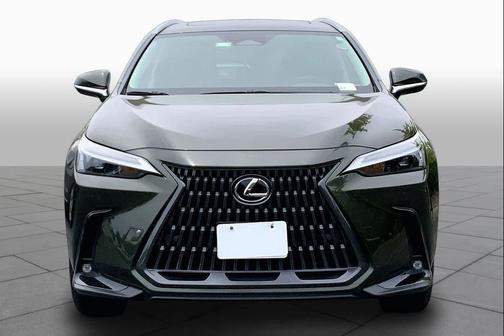 Nori Green Pearl 2023 Lexus NX 350 Premium