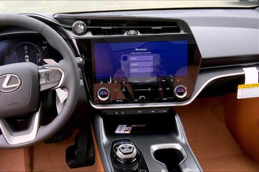 2025 Lexus RZ 450e Premium