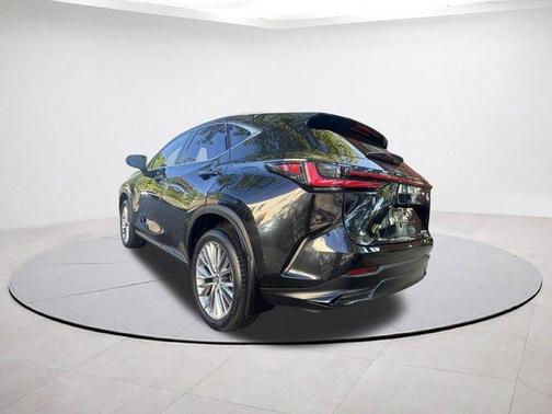 2023 Lexus NX 350 Luxury