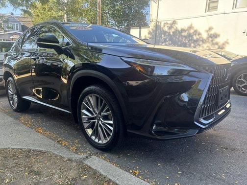 2023 Lexus NX 350 Luxury