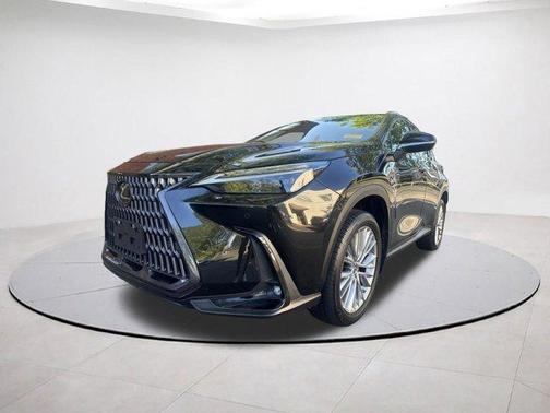 2023 Lexus NX 350 Luxury