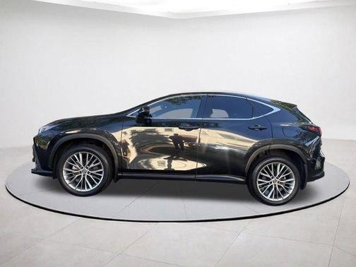 2023 Lexus NX 350 Luxury