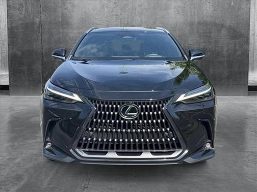 2024 Lexus NX 350h Luxury