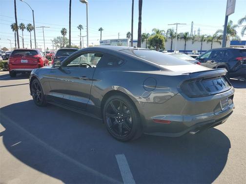 2019 Ford Mustang EcoBoost