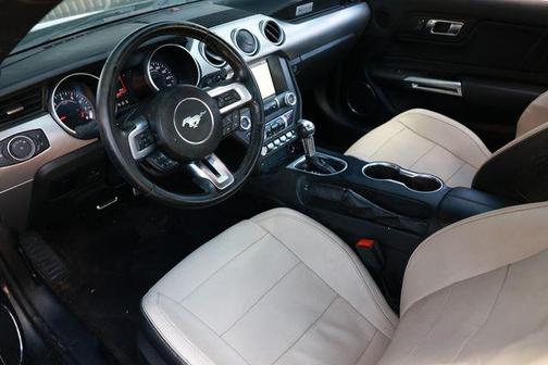 Magnetic Metallic 2019 Ford Mustang GT Premium