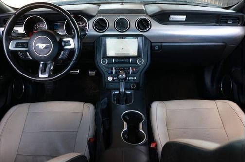 Magnetic Metallic 2019 Ford Mustang GT Premium