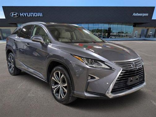 Nebula Gray Pearl 2019 Lexus RX 350