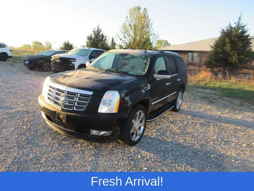 Black Raven 2010 Cadillac Escalade Luxury