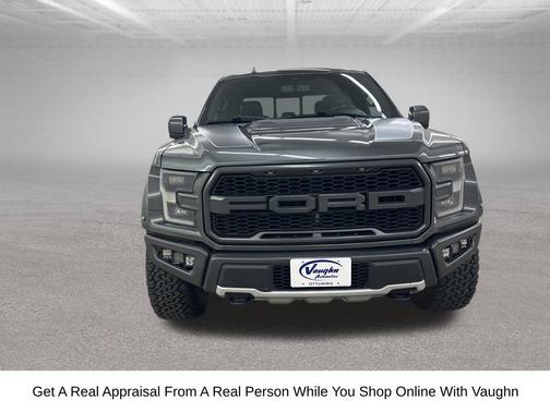 Magnetic Metallic 2019 Ford F-150 Raptor