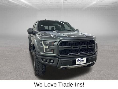 Magnetic Metallic 2019 Ford F-150 Raptor